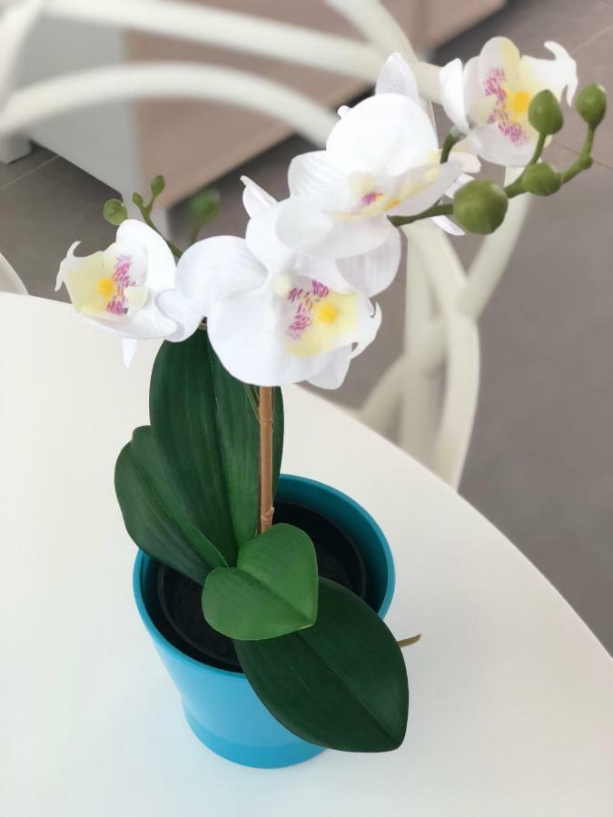 Luxury Beachfront Penthouse El Medano  Ngoại thất bức ảnh